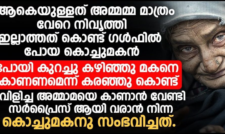 വിദേശത്തേക്ക് പോയ കൊച്ചുമകൻ അമ്മയ്ക്ക് സർപ്രൈസ് കൊടുക്കാൻ എത്തിയതാണ് പിന്നീട് സംഭവിച്ചത് കണ്ടോ.