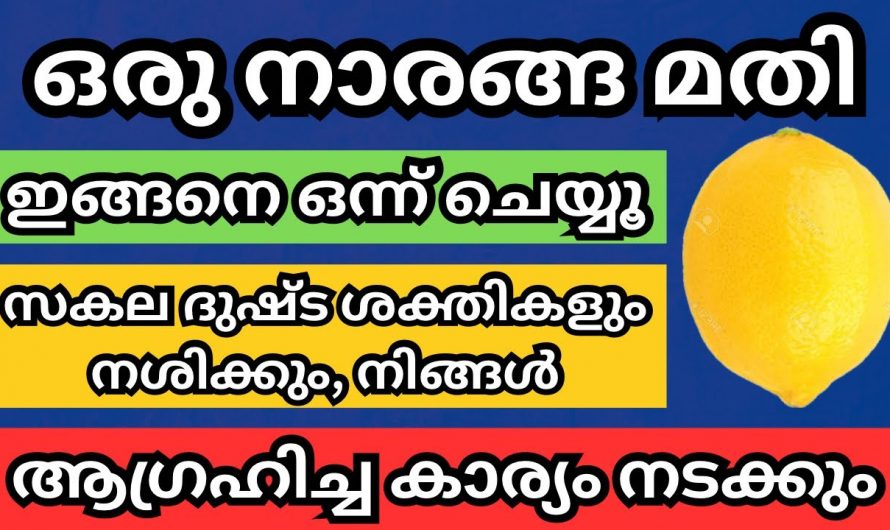 ഒരു നാരങ്ങ ഇതുപോലെ ചെയ്യൂ നിങ്ങൾ ആഗ്രഹിച്ച കാര്യങ്ങൾ ഉടനെ തന്നെ നടക്കുന്നതായിരിക്കും.