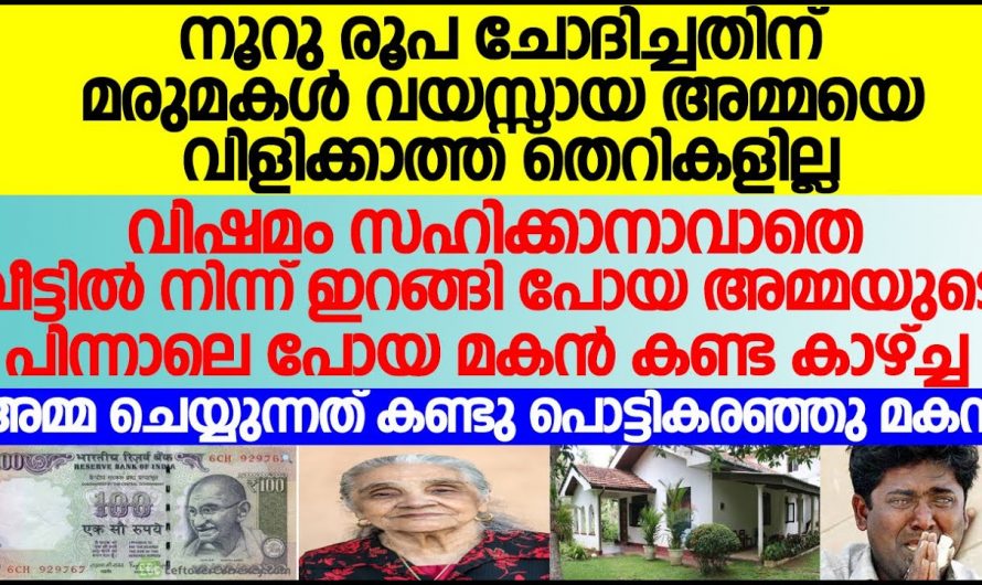 100 രൂപ ചോദിച്ചതിന് അമ്മയെ വഴക്ക് പറഞ്ഞു മരുമകൾ. ഇത് കേട്ട് മകൻ ചെയ്തത് കണ്ടോ.