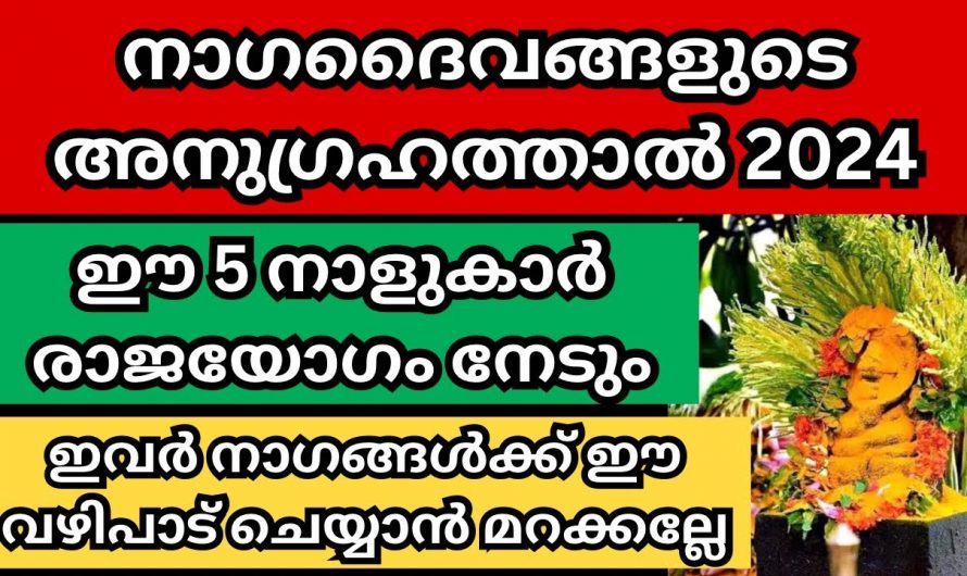 നാഗദൈവങ്ങളുടെ അനുഗ്രഹത്താൽ വരും വർഷം രാജയോഗം നേടുന്ന അഞ്ചു നക്ഷത്രക്കാർ.