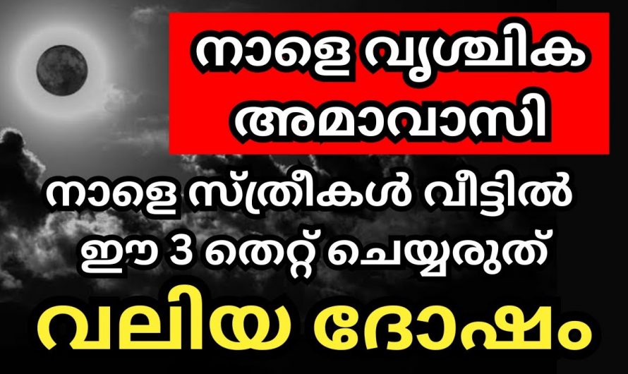 വൃശ്ചിക മാസത്തിലെ വിശിഷ്ട അമാവാസി.സ്ത്രീകൾ വീട്ടിൽ ഈ മൂന്നു തെറ്റുകൾ ചെയ്യരുത് വലിയ ദോഷമാണ്.