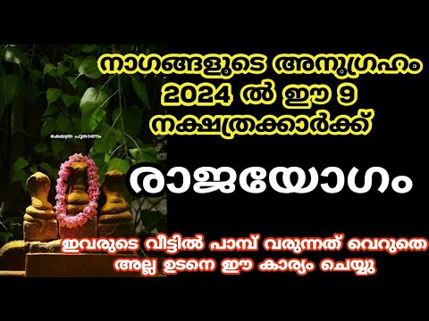 നാഗങ്ങൾക്ക് ഈ വഴിപാട് കൂടി നടത്തിയാൽ നിങ്ങളുടെ ഉയർച്ചയെ ഇനി ആരാലും തടുത്ത് നിർത്താൻ സാധിക്കില്ല.