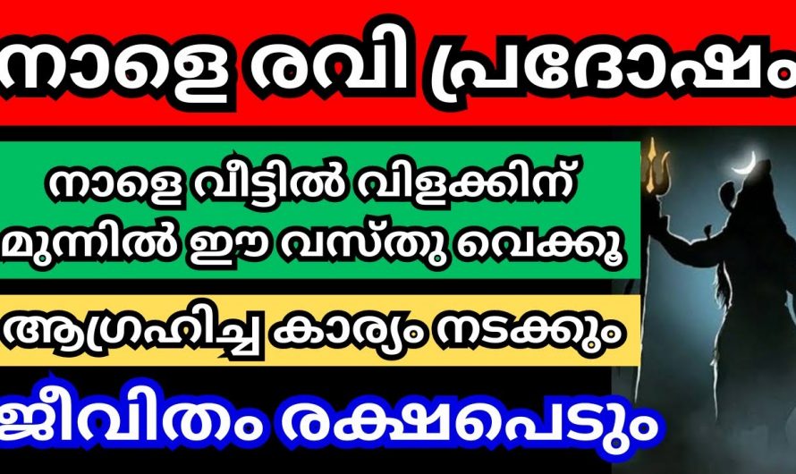 വിശേഷപ്പെട്ട രവി പ്രദോഷം. പരമശിവന്റെ അനുഗ്രഹം ജീവിതത്തിൽ ലഭിക്കണമെങ്കിൽ ഇതുപോലെ ചെയ്താൽ മതി.