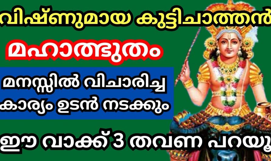 നിങ്ങൾ മനസ്സിൽ ഒരു ആഗ്രഹം വിചാരിച്ച് ഇതുപോലെ പറഞ്ഞു നോക്കൂ വിഷ്ണുമായ സ്വാമി ഉടനെ നടത്തിത്തരും.