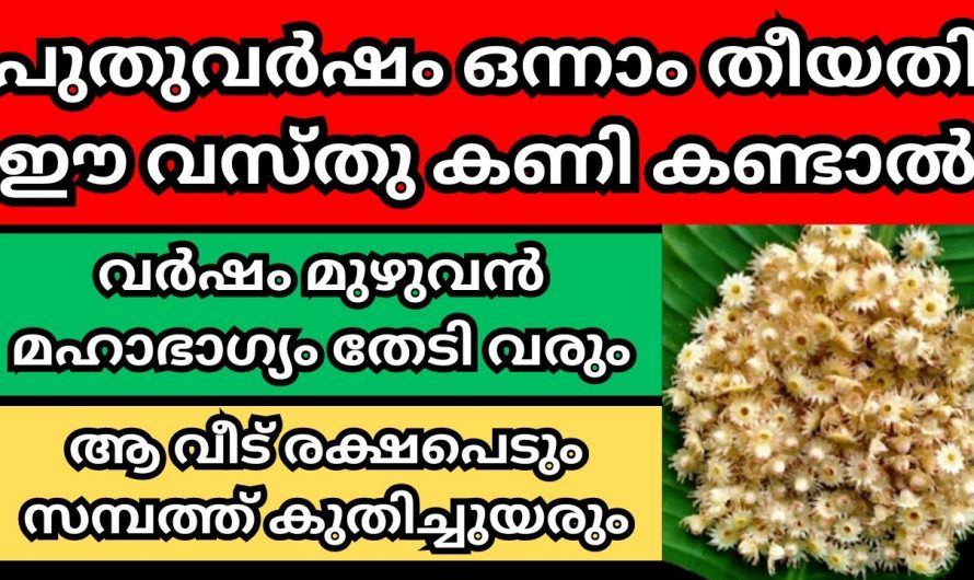 പുതുവർഷം ഒന്നാം തീയതി ഈ വസ്തു കണ്ട് കണ്ടാൽ ആ വർഷം മുഴുവൻ നിങ്ങൾക്ക് മഹാഭാഗ്യം തേടിവരും.