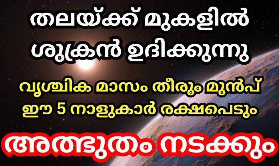 ഈ അഞ്ചു നാളുകാരുടെ ജീവിതം രക്ഷപ്പെടാൻ പോകുന്നു ഇവർക്ക് തലയ്ക്കു മുകളിലാണ് ശുക്രൻ ഉദിക്കുന്നത്.