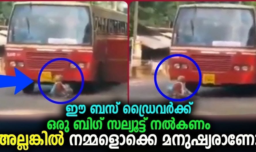 കെഎസ്ആർടിസി ഡ്രൈവറുടെ നല്ല മനസ്സിന് കൊടുക്കണം ഒരു ബിഗ് സല്യൂട്ട്. കണ്ടതിൽ ഏറ്റവും മികച്ച വീഡിയോ.