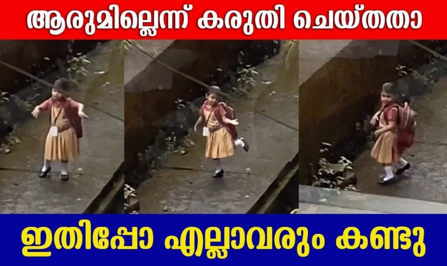 കുഞ്ഞുമോൾ ഗംഭീര ഡാൻസിലാ.. ആരും കണ്ടില്ല എന്ന് വിചാരിച്ചു. ഇപ്പോൾ സോഷ്യൽ മീഡിയയിൽ വൈറൽ.