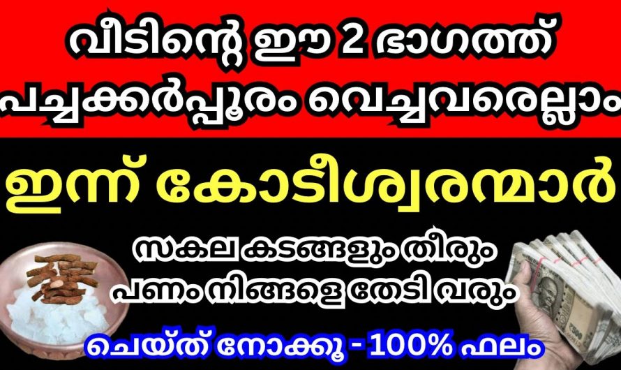 വീടിന്റെ ഈ ഭാഗത്ത് പച്ചക്കർപ്പൂരവും വയമ്പും വെച്ചാൽ എത്ര പാവപ്പെട്ടവനും കോടീശ്വരൻ ആകും. ഉടനെ ചെയ്യൂ.