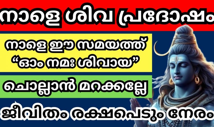 വിശേഷപ്പെട്ട ശിവപ്രദോഷം. പ്രദോഷ ദിവസം ഇതുപോലെ ചെയ്യൂ വർഷം മുഴുവൻ ഐശ്വര്യം ആയിരിക്കും.