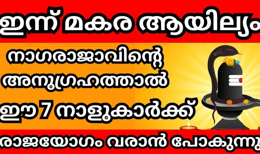 ഇന്ന് അത്യപൂർവമായ മകര ആയില്യം. ഇന്നേദിവസം ഈ നക്ഷത്രക്കാരുടെ ജീവിതത്തിൽ വലിയ മാറ്റങ്ങൾ ഉണ്ടാകും.