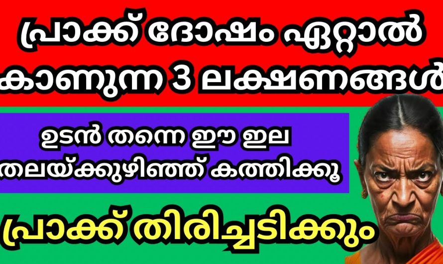 ദൃഷ്ടി ദോഷം പ്രാക്ക് ഏറ്റാൽ ഉടനെ ഇങ്ങനെ ചെയ്യൂ. ജീവിതം കൂടുതൽ സംരക്ഷണമാക്കൂ.