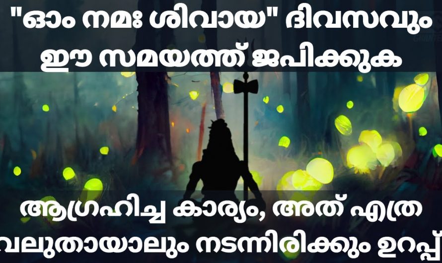 ഓം നമശിവായ ഈ സമയത്ത് ജപിച്ചാൽ. ഇരട്ടിയാണ് ഫലം കിട്ടുന്നത്.