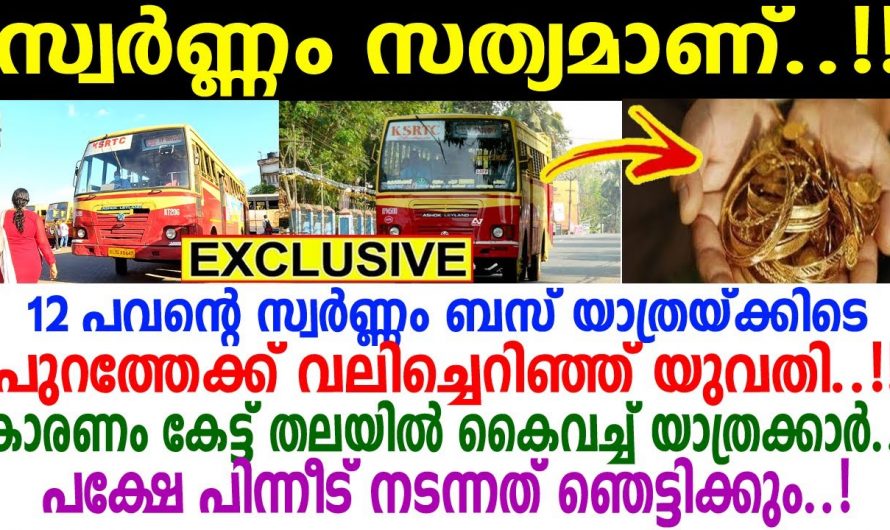 കയ്യിലുള്ള 12 പവൻ കൂസൽ ഇല്ലാതെ പുറത്തേക്ക് കളഞ്ഞു ബസ് യാത്രക്കാരി. പിന്നീട് സംഭവിച്ചത് കണ്ടോ.