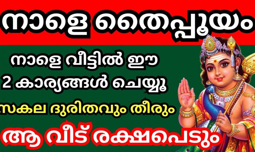 നാളെ തൈപ്പൂയം. മറക്കാതെ സന്ധ്യയ്ക്ക് വീട്ടിൽ ഈ രണ്ടു കാര്യങ്ങൾ ചെയ്യുക ജീവിതം മാറിമറിയും.