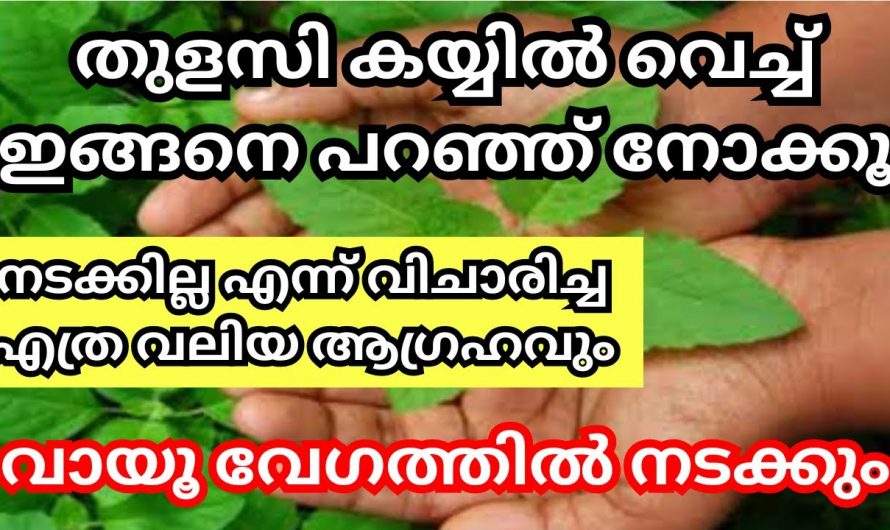 കയ്യിൽ തുളസി വച്ചുകൊണ്ട് ഇതുപോലെ ചെയ്യൂ. ജീവിതത്തിൽ മഹാത്ഭുതങ്ങൾ സംഭവിക്കും.