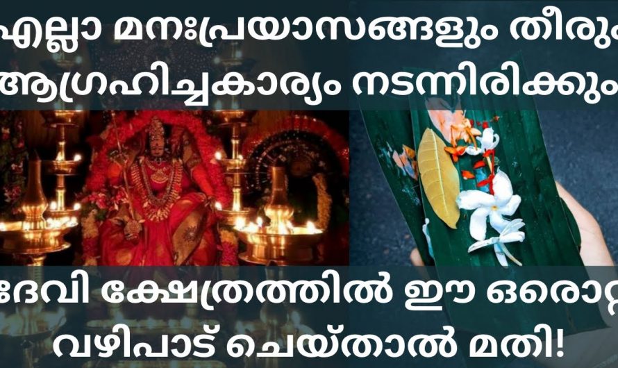 മനസ്സിൽ എന്ത് പ്രയാസങ്ങൾ ഉണ്ടായാലും ദേവീക്ഷേത്രത്തിൽ ഈ വഴിപാട് ചെയ്യുക. ഇനി എല്ലാ പ്രശ്നങ്ങളും തീരുന്നതായിരിക്കും.