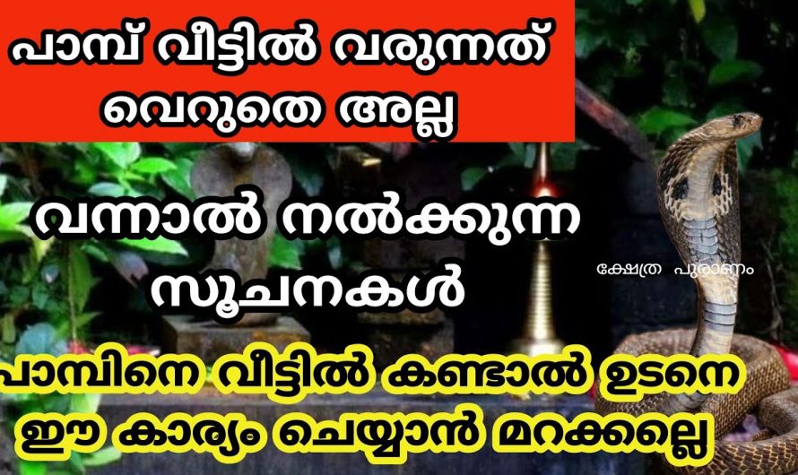 വീട്ടിൽ പാമ്പിന്റെ സാന്നിധ്യം കണ്ടാൽ ഉടനെ ഈ കാര്യങ്ങൾ വീട്ടിൽ സംഭവിക്കും.