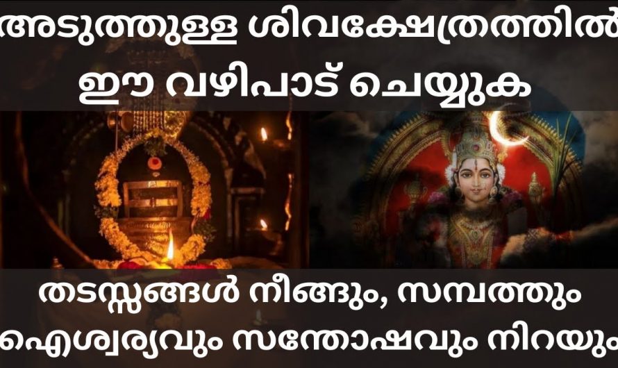 കുടുംബത്തിൽ ഐശ്വര്യം, സമ്പത്ത്, സന്തോഷം ഉണ്ടാകാൻ ശിവക്ഷേത്രത്തിൽ ഈ വഴിപാട് നടത്തു.