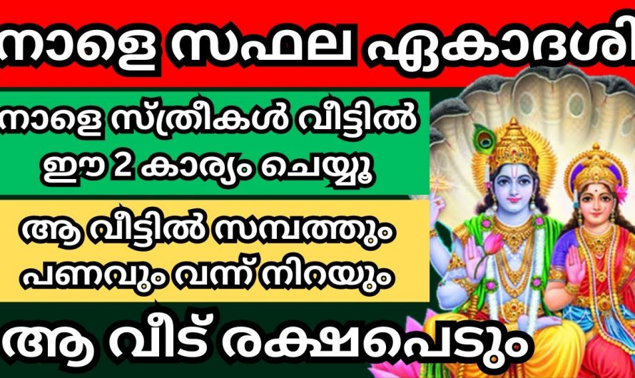 ഇന്ന് സഫല ഏകാദശി. എല്ലാവിധ ആഗ്രഹ സഫലീകരണത്തിനും ഇതുപോലെ ചെയ്യൂ.