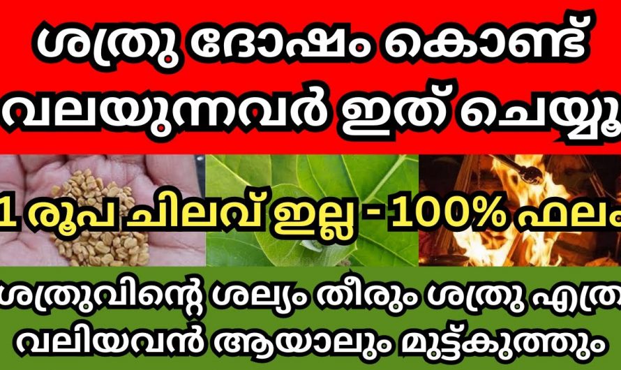 ശത്രു ദോഷം ഇനിയും വിട്ടു പോയില്ലേ ഈ കർമ്മങ്ങൾ ചെയ്തു നോക്കൂ ശത്രു ഇനി വരില്ല.