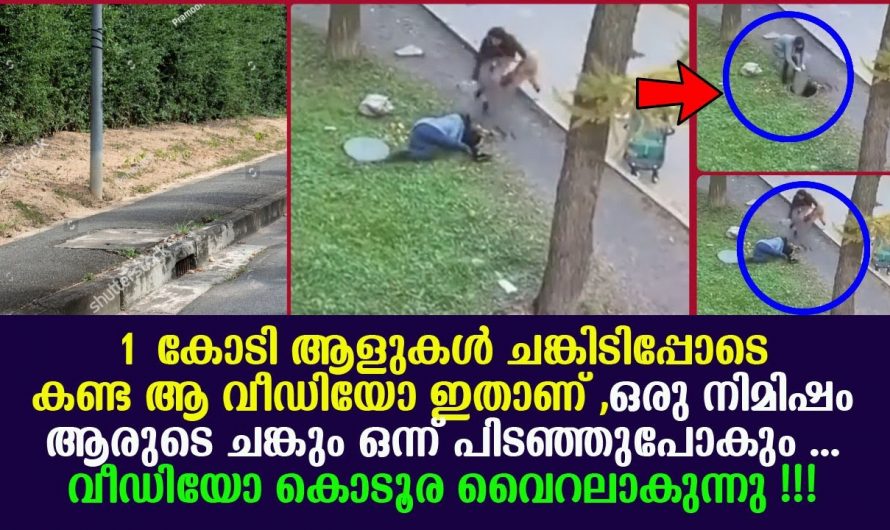 ഈ അമ്മയുടെ മനോധൈര്യത്തിനു മുൻപിൽ എല്ലാവരും തന്നെ തൊഴുതു നിന്നു.