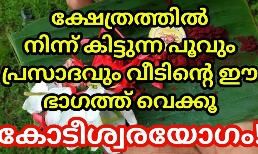 ക്ഷേത്രത്തിൽ നിന്നും കിട്ടുന്ന പൂവും പ്രസാദവും വീട്ടിൽ കൊണ്ടുവന്ന് ഇതുപോലെ ചെയ്യൂ കോടീശ്വരയോഗം ആയിരിക്കും.