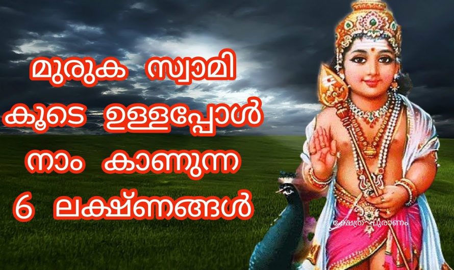 ജീവിതത്തിൽ ഇതുപോലെയുള്ള അത്ഭുതങ്ങൾ സംഭവിക്കുന്നുണ്ടോ എന്നാൽ മുരുക സ്വാമി നിങ്ങളുടെ കൂടെയുണ്ട്.