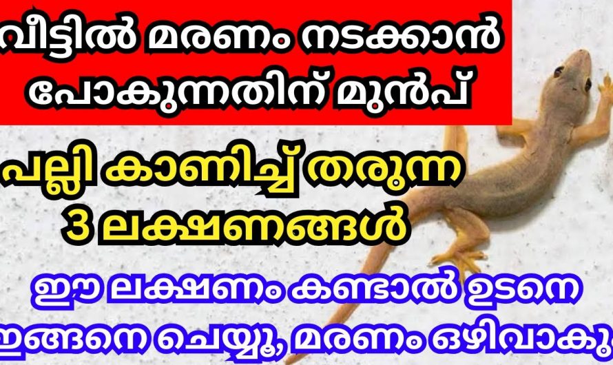 വീട്ടിൽ മരണം നടക്കാൻ പോകുന്നതിന് മുൻപ് പല്ലു കാണിച്ചു തരുന്ന സൂചനകൾ.