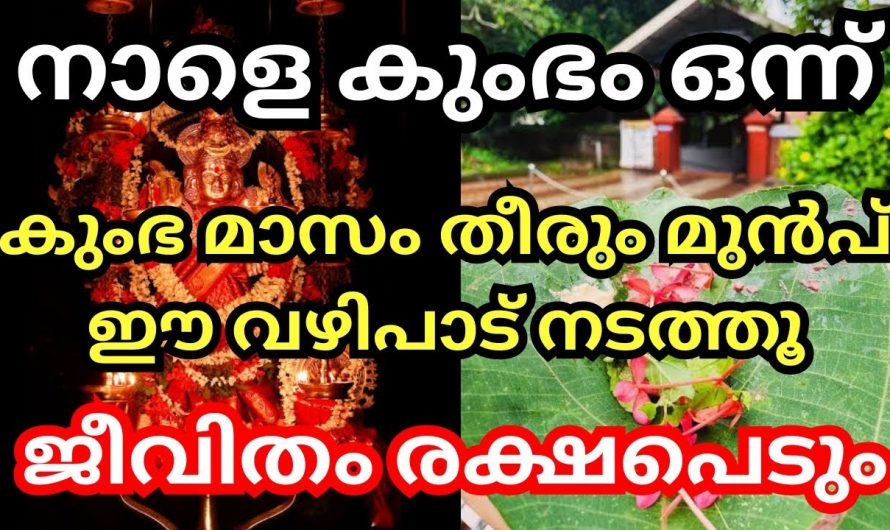 ദേവീക്ഷേത്രത്തിൽ മുടങ്ങാതെ കുംഭമാസം തീരും മുൻപേ ഈ വഴിപാടുകൾ ചെയ്യൂ. വർഷം മുഴുവൻ സൗഭാഗ്യം ആയിരിക്കും.