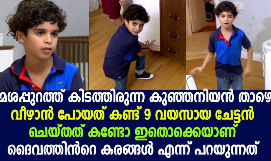 മേശപ്പുറത്ത് കിടത്തിയ അനുജൻ താഴെ വീഴാൻ പോയത് കണ്ട ഏഴു വയസ്സുകാരൻ ചെയ്തത് കണ്ടോ.