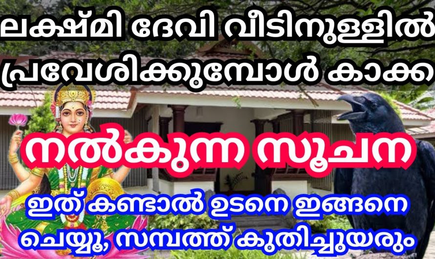 ലക്ഷ്മി ദേവിയുടെ സാന്നിധ്യം വീട്ടിലുണ്ടെങ്കിൽ കാക്ക നൽകുന്ന പ്രധാന ശുഭ സൂചനകൾ.