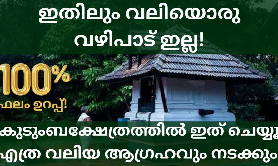 100% ഉറപ്പാണ് വിചാരിച്ച കാര്യം നടന്നിരിക്കും. കുടുംബ ക്ഷേത്രത്തിൽ ഈ ഒരു വഴിപാട് ചെയ്ത് പ്രാർത്ഥിക്കൂ.