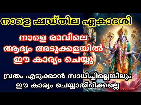 നാളെ ഷഡ്തില ഏകാദശി. രാവിലെ ആദ്യം അടുക്കളയിൽ കയറി ഈ കാര്യം ചെയ്യൂ. സർവ്വ ഐശ്വര്യമായിരിക്കും ലഭിക്കുന്നത്.