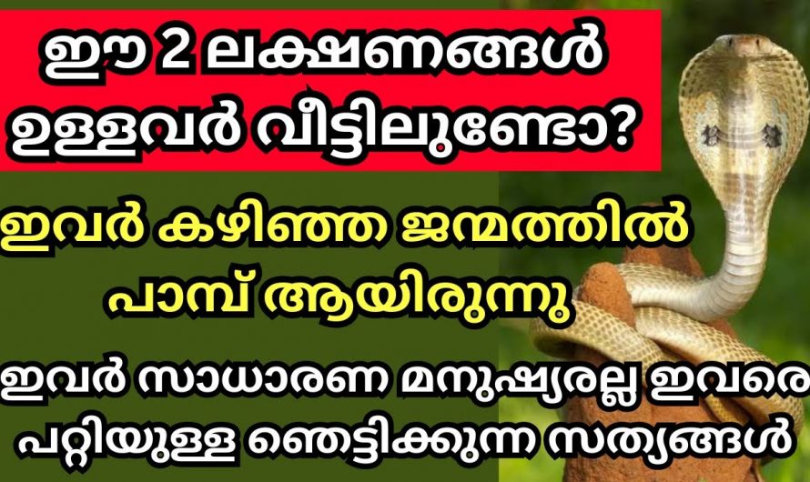 ഈ ലക്ഷണങ്ങൾ ഉള്ളവർ വീട്ടിലുണ്ടോ ഇവർ കഴിഞ്ഞ ജന്മത്തിൽ പാമ്പായിരുന്നു. ഞെട്ടിക്കുന്ന സത്യങ്ങൾ ഇതാ.