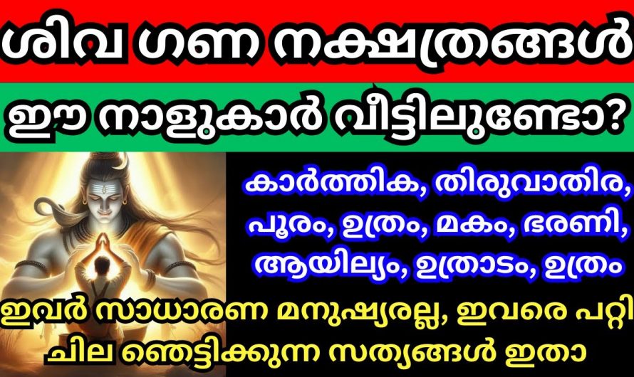 ശിവ ഗണത്തിൽ പെട്ട ഭാഗ്യം തുളുമ്പി നിൽക്കുന്ന നക്ഷത്രക്കാർ. ഇവർ നിസ്സാരക്കാരല്ല.