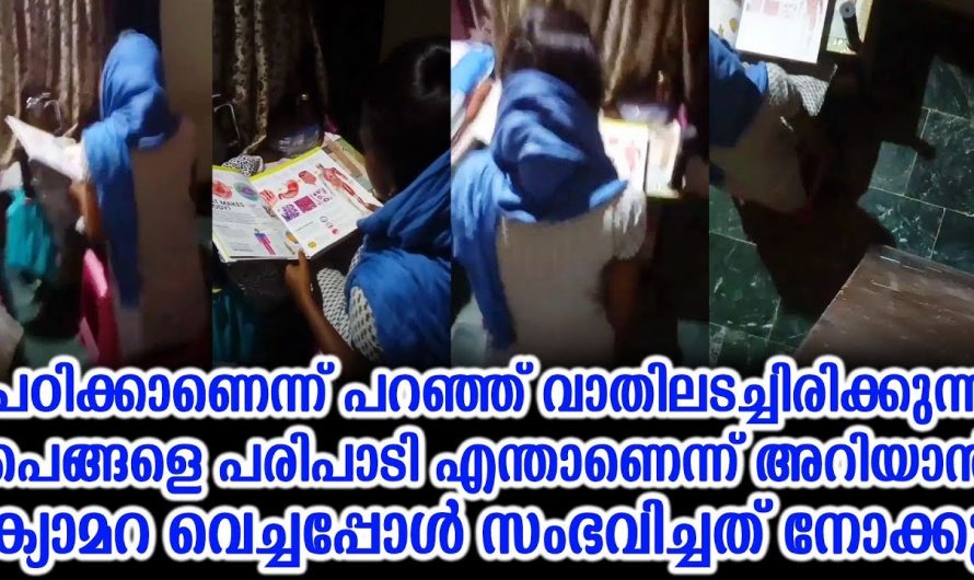 ചേച്ചിക്ക് അനിയൻ കൊടുത്ത നല്ല എട്ടിന്റെ പണി. പഠിക്കുകയാണെന്ന് പറഞ്ഞ് ചേച്ചി ചെയ്തത് നോക്കൂ.