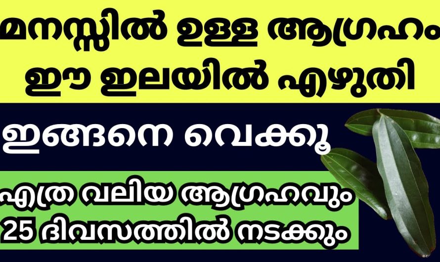 25 ദിവസത്തിനുള്ളിൽ നിങ്ങളുടെ മനസ്സിലുള്ള ആഗ്രഹങ്ങളെല്ലാം സാധിച്ചു കിട്ടാൻ ഇലയിൽ ഇതുപോലെ എഴുതൂ.