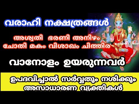 വരാഹി ദേവിയുടെ അനുഗ്രഹം ലഭിച്ച നക്ഷത്രക്കാർ. ഈ നാളുകാരെ പറ്റിയുള്ള രഹസ്യങ്ങൾ അറിയാതെ പോകരുത്.