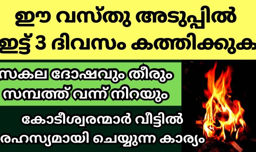 സകല ദോഷവും തീർന്ന നിങ്ങൾ കോടീശ്വരന്മാർ ആകും അടുപ്പിൽ ഈ രണ്ടു വസ്തുക്കൾ ഇട്ടാൽ മതി.