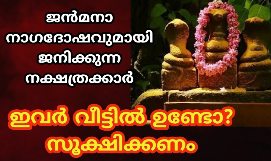 ഈ ലക്ഷണങ്ങൾ ഉണ്ടോ എന്ന് നോക്കൂ. എന്നാൽ അവർ കഴിഞ്ഞ ജന്മത്തിൽ നാഗങ്ങൾ ആയിരിക്കും. സൂക്ഷിക്കണേ