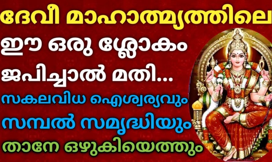 ദേവി മാഹാത്മ്യം ദിവസവും ഇതുപോലെ ചൊല്ലി പ്രാർത്ഥിക്കു. ജീവിതത്തിൽ പ്രതീക്ഷിക്കാത്ത പല അത്ഭുതങ്ങളും നടക്കും.