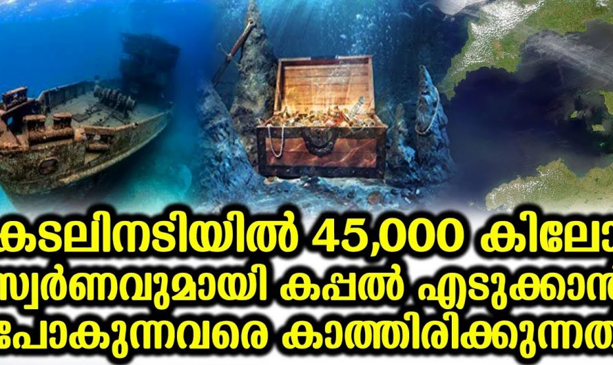 കടലിനടിയിൽ സ്വർണ്ണ നിധി ശേഖരം. എടുക്കാൻ പോകുന്നവരെ കാത്തിരിക്കുന്നതോ വലിയ അപകടങ്ങളും. ഇതാ കണ്ടു നോക്കൂ.