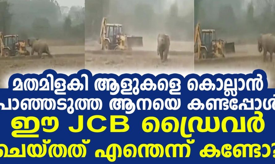 ജെസിബിയും ആനയും കൂടി പൊരിഞ്ഞ അടി. നിങ്ങൾക്ക് പറയാൻ പറ്റുമോ ഇതിൽ ആര് ജയിക്കുമെന്ന് എങ്കിൽ പറയൂ.