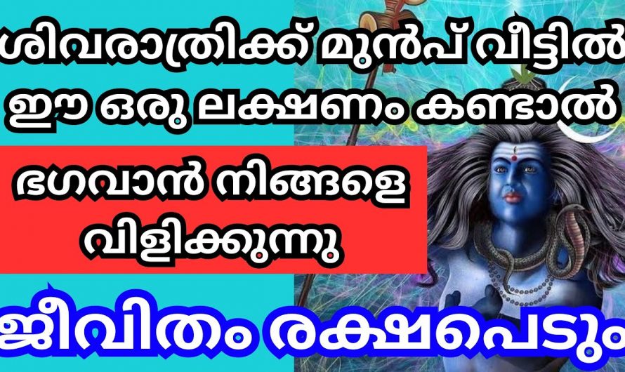 ഭഗവാൻ നിങ്ങളെ വിളിക്കുന്നു. ശിവരാത്രിക്ക് മുൻപ് ഈ ലക്ഷണങ്ങൾ കാണാൻ കഴിഞ്ഞവരെല്ലാം ഭാഗ്യവാന്മാർ.