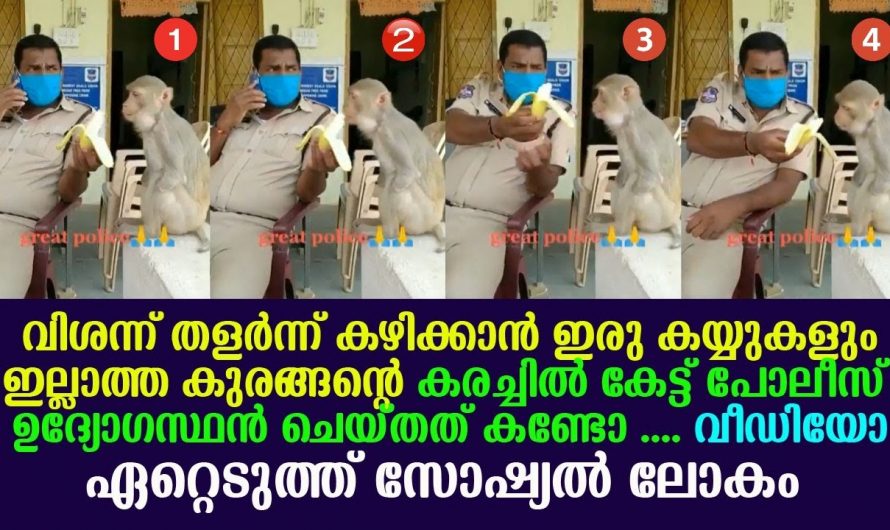 രണ്ട് കൈകളും ഇല്ലാതെ വിശന്നു വലഞ്ഞ കുരങ്ങനെ ഭക്ഷണം നൽകുന്ന ഉദ്യോഗസ്ഥന്റെ വീഡിയോ സോഷ്യൽ മീഡിയയിൽ വൈറൽ. ഇതാണ് മനുഷ്യത്വം.