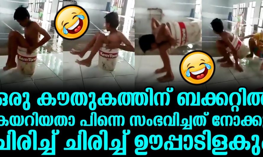 ജാങ്കോ നീ അറിഞ്ഞോ ഞാൻ പെട്ടു. ഒരു കൗതുകത്തിന് കയറിയത് പക്ഷേ പണി പാളി.