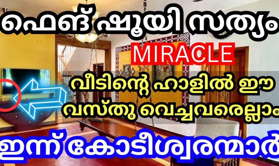 ഒരുപാട് പാവങ്ങളെ കോടീശ്വരൻ ആക്കിയ ഫെങ് ഷൂയി വാസ്തുശാസ്ത്രം. ഉടനെ ഈ വസ്തു വീട്ടിൽ വയ്ക്കൂ.