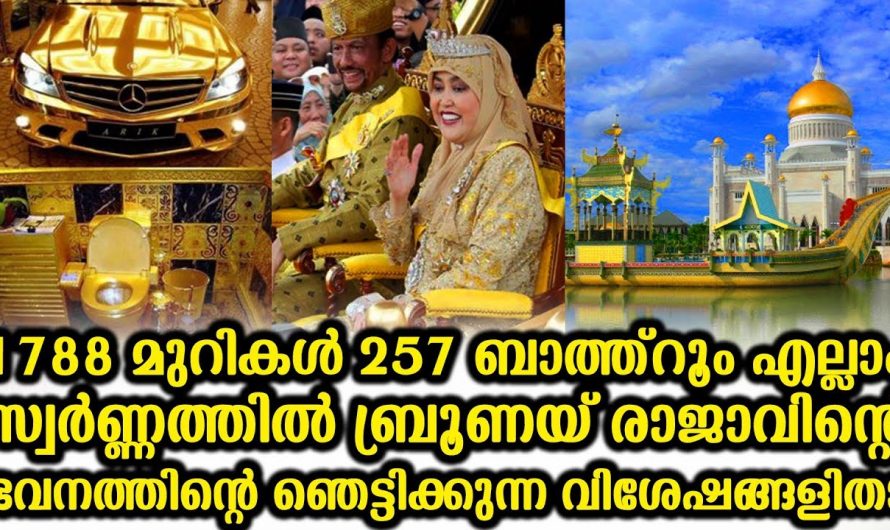 സ്വർണ്ണം കൊണ്ട് ഒരു വലിയ ലോക വിസ്മയം. ഇതിനകത്ത് സ്വർണക്കാഴ്ചകൾ കണ്ടാൽ ആരുടെയും കണ്ണ് തിളങ്ങി പോകും.