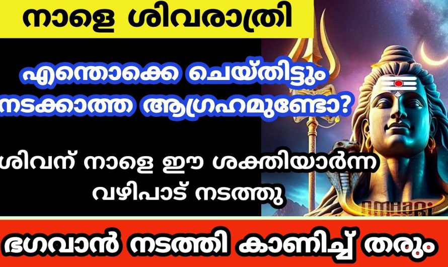 ശിവരാത്രി ദിവസമോ അത് കഴിഞ്ഞു ഈ വഴിപാട് ചെയ്യൂ. ഭഗവാൻ എല്ലാം നടത്തി കാണിച്ചു തരും.